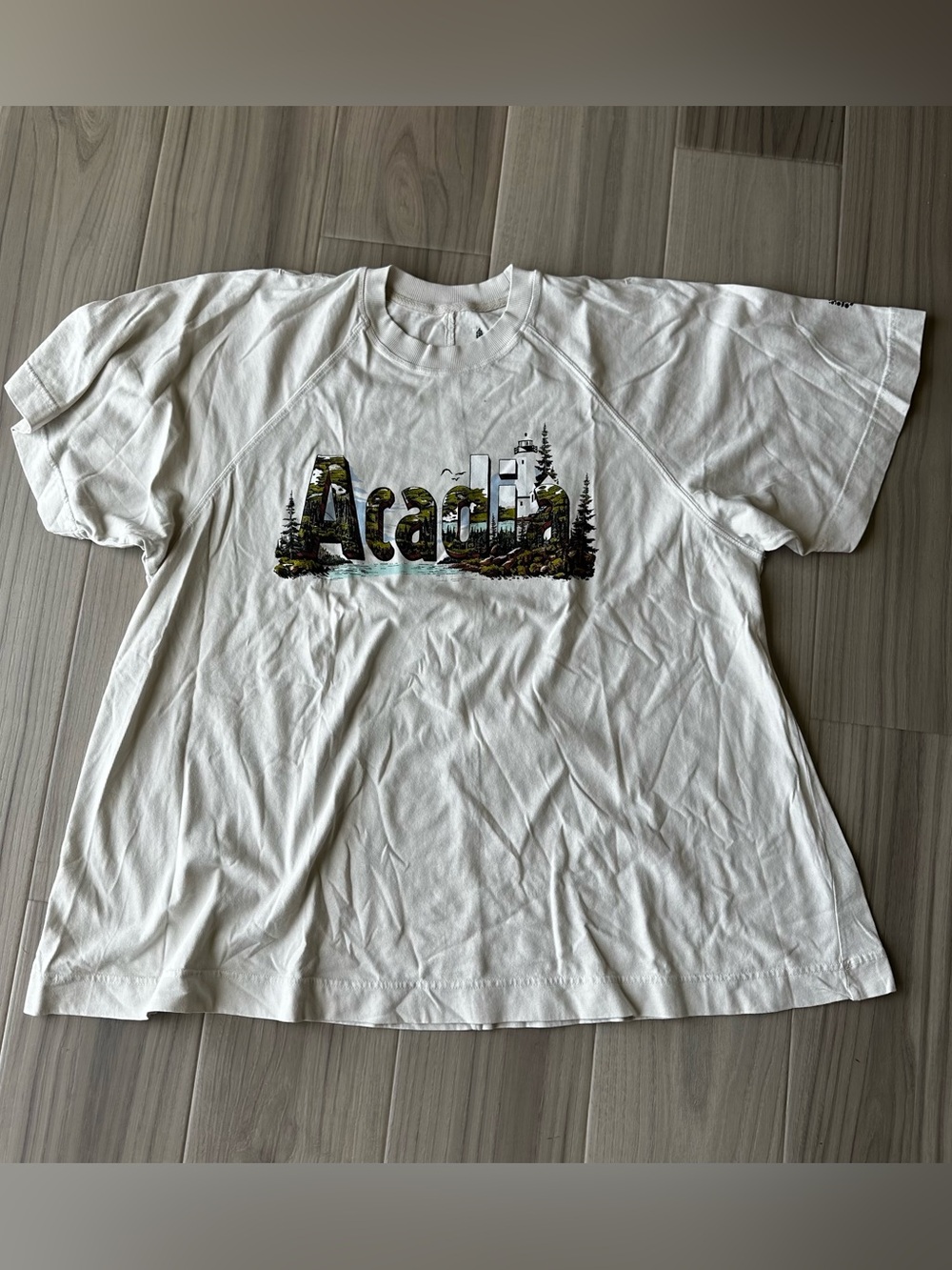 Free People Movement Acadia National Park Swing Tee
